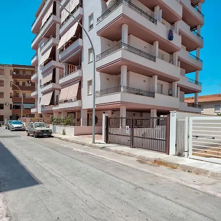 Sardiniare - Edison 12